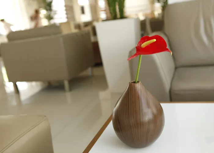 Sunrise Oasis & Waterpark 4*